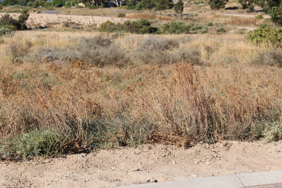 0 Bedroom Property for Sale in St Helena Views Western Cape